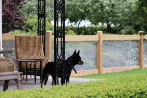 Saltram Rural Cypress Fence - raw