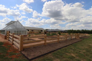 Saltram Rural Cypress Fence - Raw