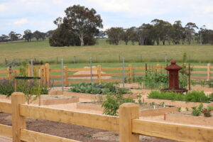 Saltram Rural Cypress Fence - Raw