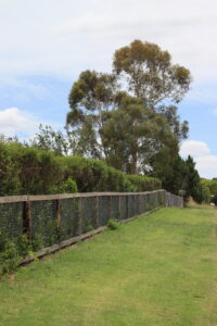 Raw Saltram Rural Round Post Ironbark Fence