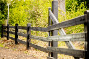 Saltram Rural Premium Australian White Cypress post and rail fence