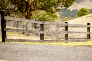 Face Fixed Cypress Post & Rail Fence.