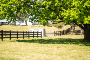 Fully morticed Post and Rail fence by Saltram Rural