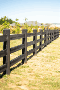 Saltram Rural Cypress Fence - SaltraGuard Black