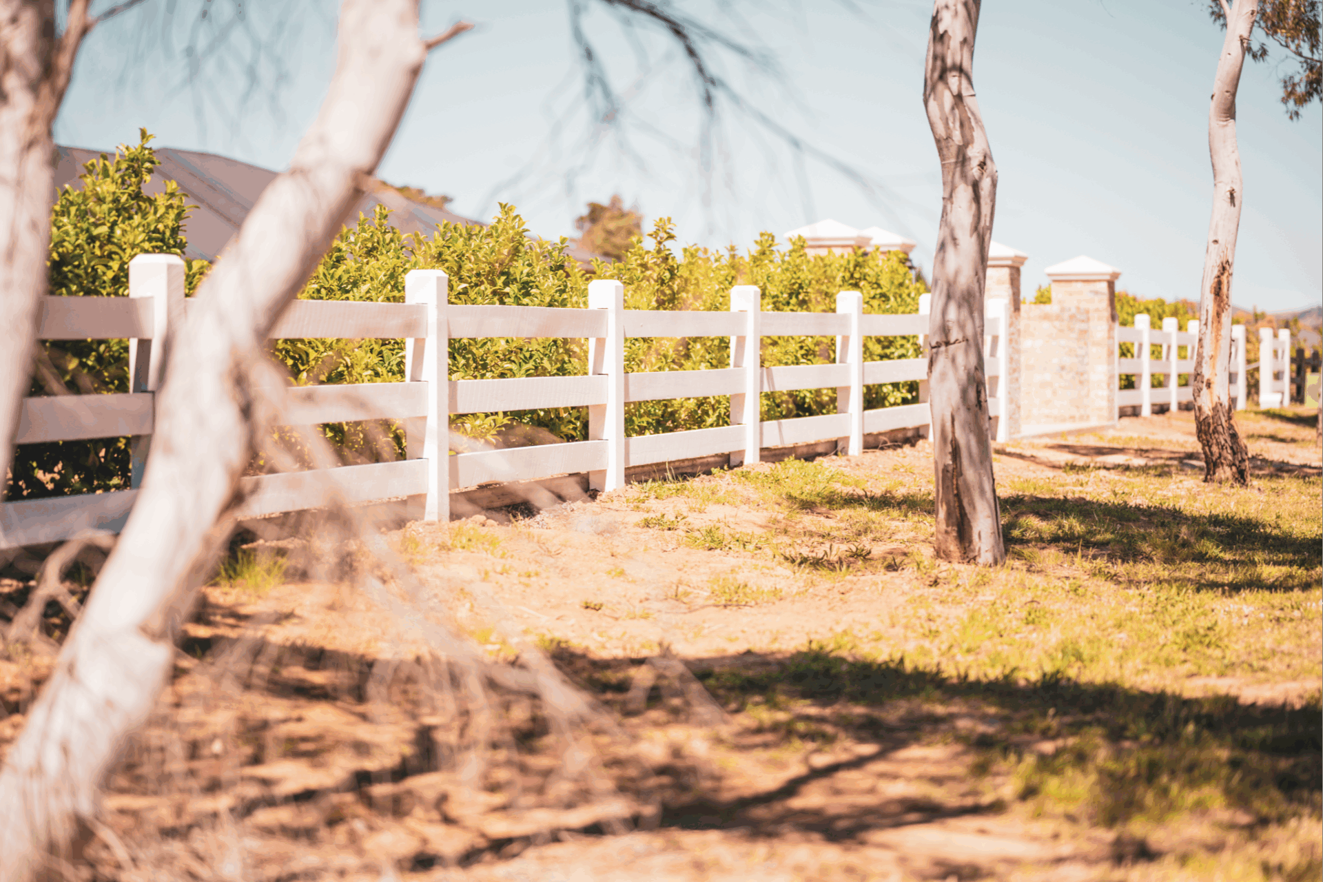 Fully morticed Post and Rail fence by Saltram Rural