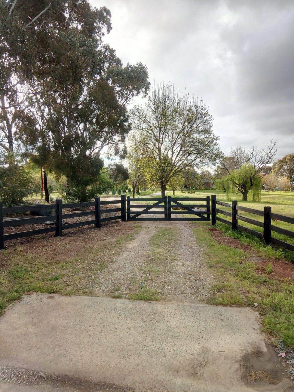 photo of timber post and rail fence (3 rails) and double timber gates (4 rails), finished in Kentucky Horse Black stain, by Saltram Rural