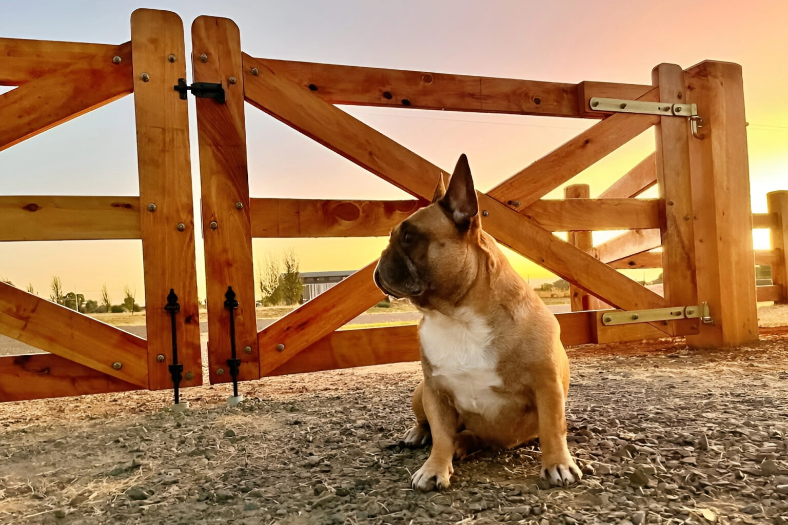 Premium Australian Cypress - Barossa Style Gate