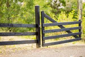 Premium Australian Cypress - The Hunter Gate
