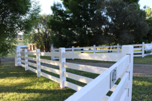 Premium Australian Cypress - Finished with White Weathershield from DULUX paint - 4 rail - morticed - 150 x 150 posts