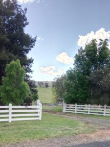 Turondale Road 7amended