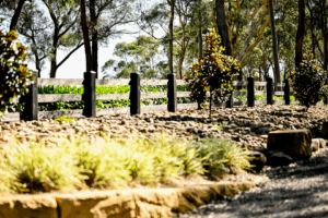 Saltram Rural Post and Rail Fence