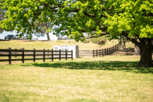 Saltram Rural Post and Rail Fence