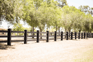 Saltram Rural Post and Rail Fence