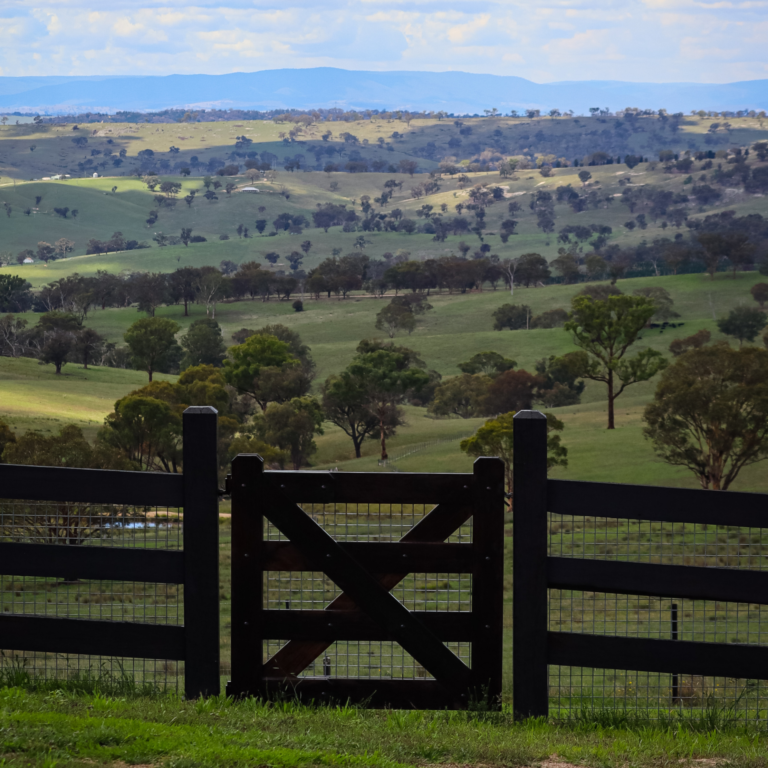 Barossa Single
