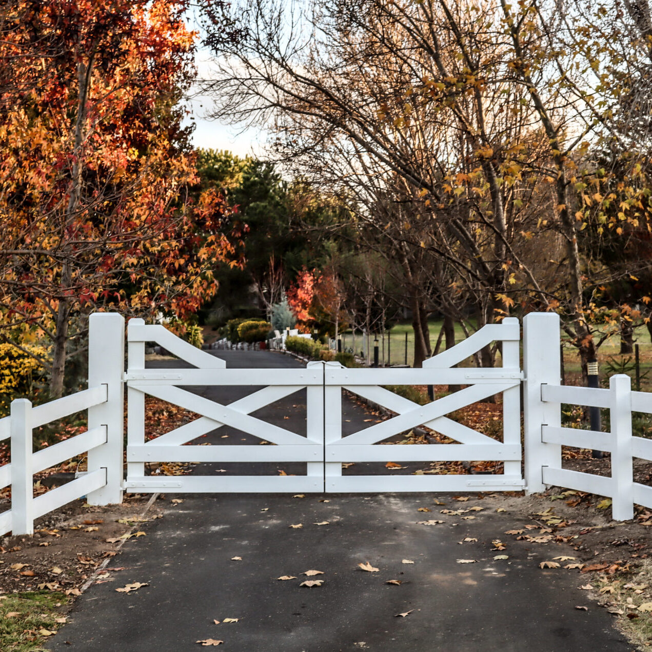 Premium Australian Cypress - Highlander style gates - Finished with White Weathershield from DULUX - morticed - 150 x 150 posts 