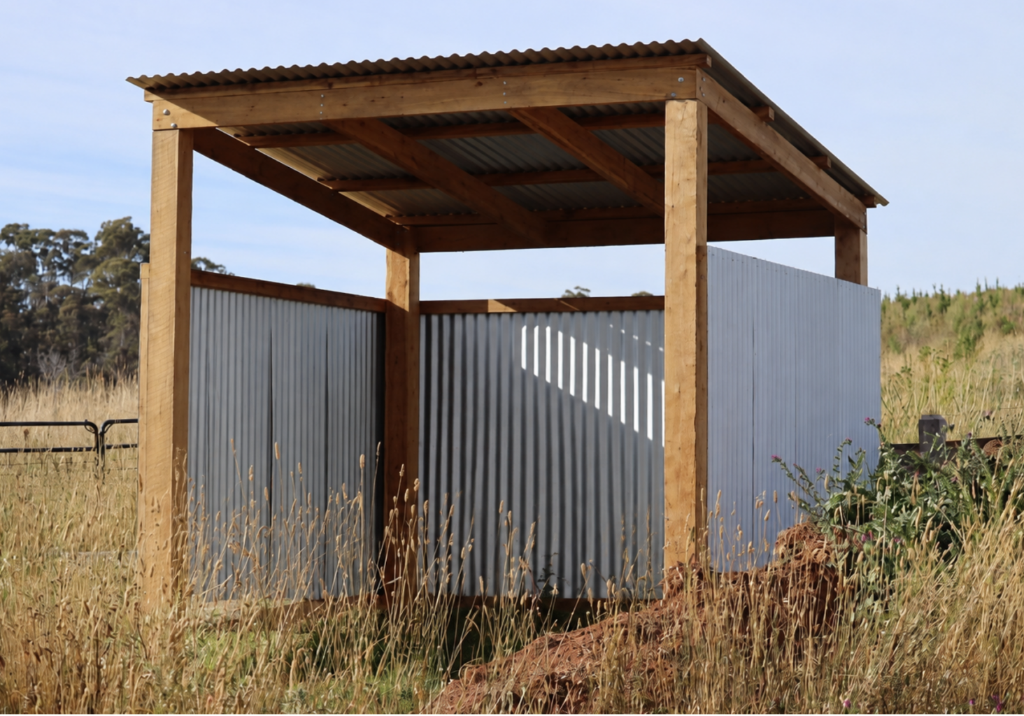 Horse Shelter