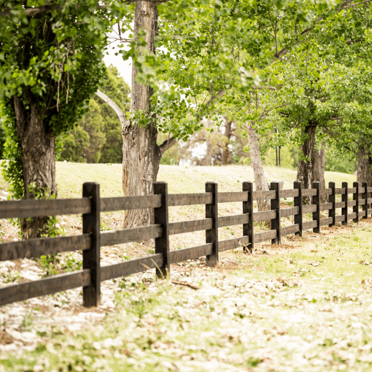 Fully morticed Post and Rail fence by Saltram Rural