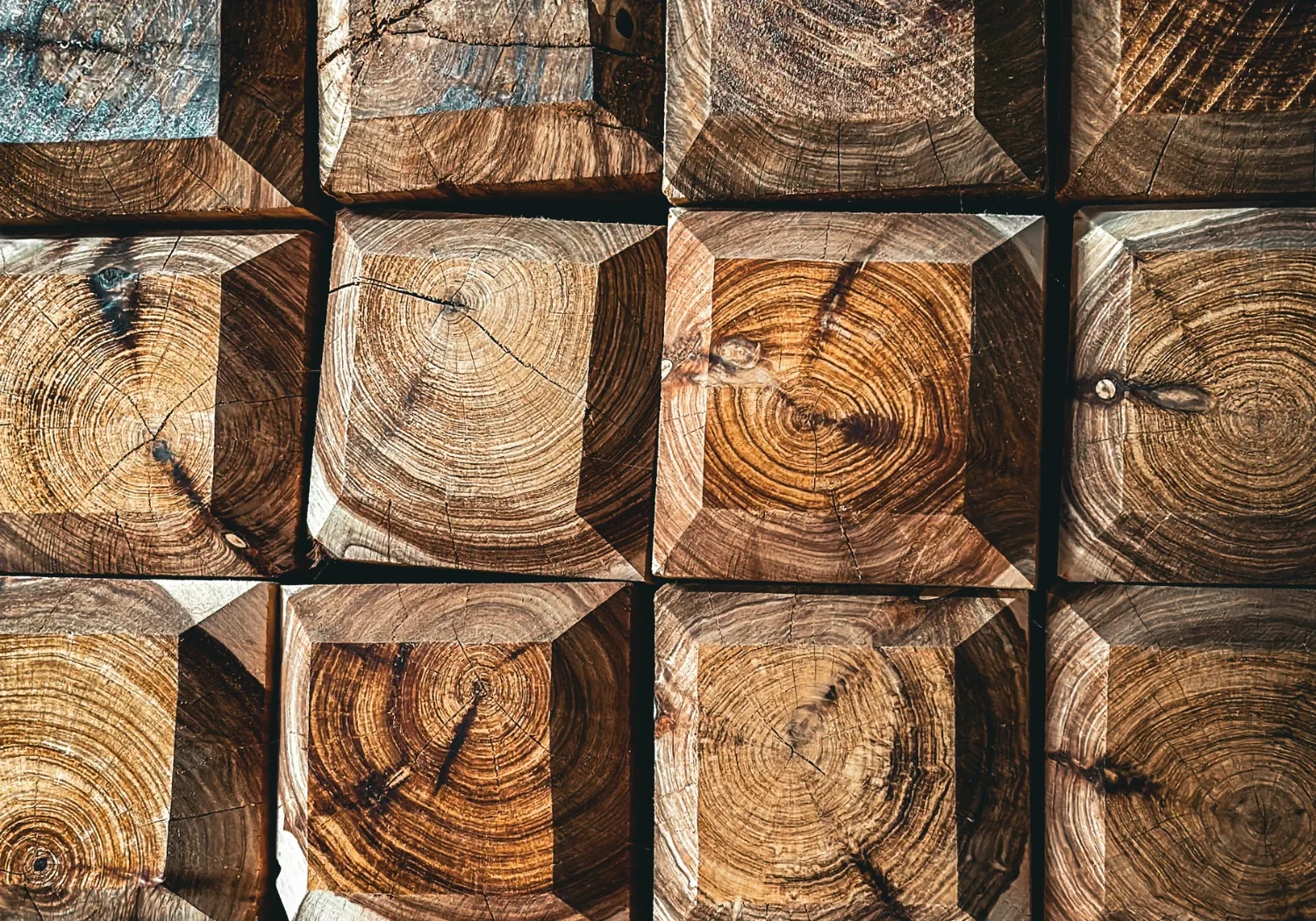 Saltram Timber