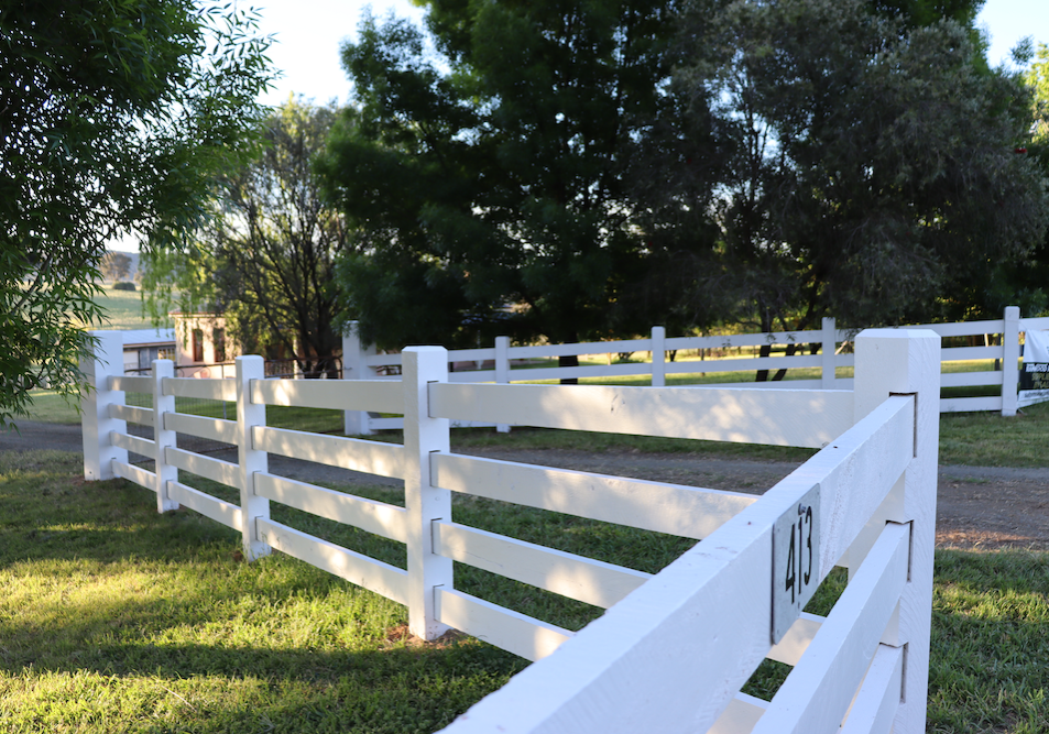 Premium Australian Cypress - Finished with White Weathershield from DULUX paint - 4 rail - morticed - 150 x 150 posts