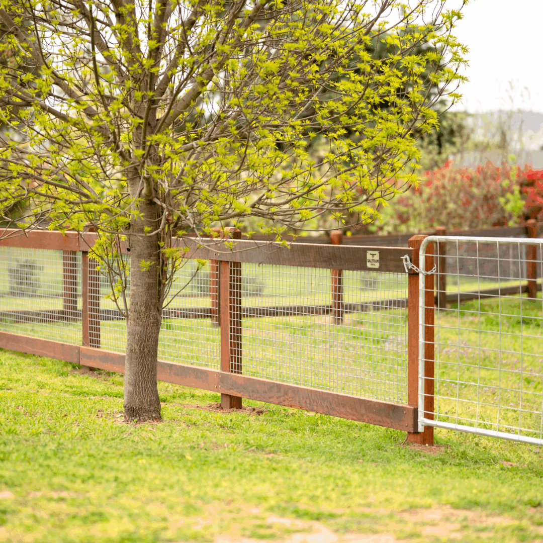 Saltram Rural Post and Rail Fence