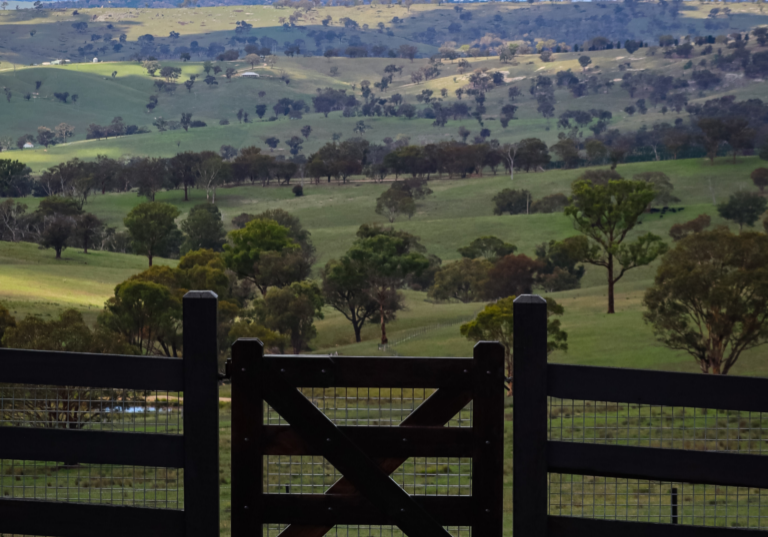 Barossa Single