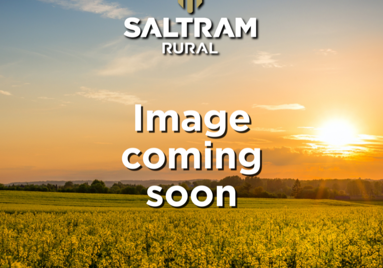 Image Coming Soon (1)