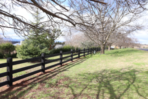Saltram Rural Cypress Fence stained in Kentucky Horse Black