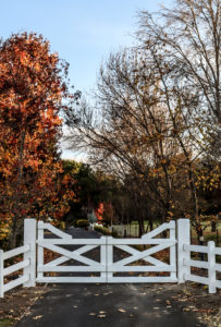 Saltram Rural Timber Gates Painted in White